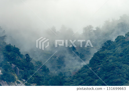 世界遺產、神靈居住的屋久島：山脈與森林（冬季） 131699663