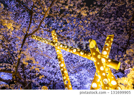 <福岡縣>舞鶴公園～點燈櫻花盛開 131699905