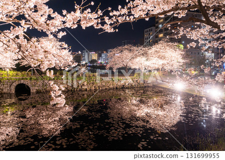 <福岡縣>舞鶴公園～點燈櫻花盛開 131699955