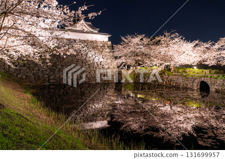 <福岡縣>舞鶴公園~點燈櫻花盛開 <福岡縣>舞鶴公園~點燈櫻花盛開 131699957