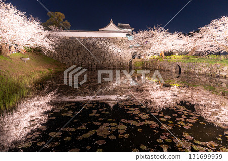 <福岡縣>舞鶴公園~點燈櫻花盛開 <福岡縣>舞鶴公園~點燈櫻花盛開 131699959
