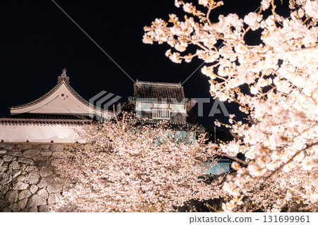 <福岡縣>舞鶴公園~點燈櫻花盛開 <福岡縣>舞鶴公園~點燈櫻花盛開 131699961
