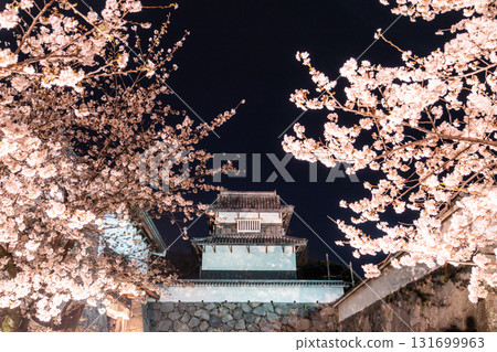 <福岡縣>舞鶴公園～點燈櫻花盛開 131699963