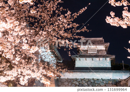 <福岡縣>舞鶴公園～點燈櫻花盛開 131699964