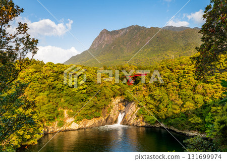 世界自然遺產 屋久島莫喬穆山和托羅基瀑布(春季) 世界自然遺產 屋久島莫喬穆山和托羅基瀑布(春季) 131699974