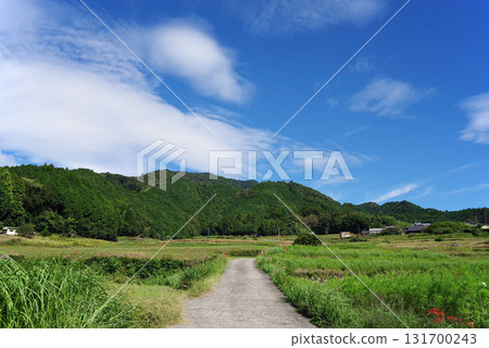 Countryside scenery: A peaceful farming village (Sakamoto district, Kameyama city, Mie prefecture) 131700243