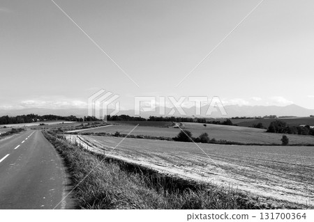 "Biei Hills in October" A road running through the fields "Black and White" "Biei Hills in October" A road running through the fields "Black and White" 131700364