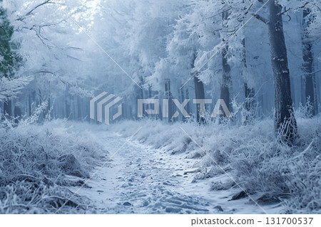 下雪的森林 131700537