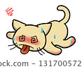 Cat collapses in the heat 131700572