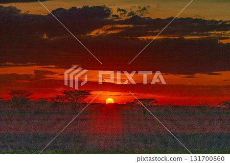 Kenya East Africa Landscapes Kalokol Lodwar Town Turkana Sunset Sunrise Highway Road Field Travels Kenya East Africa Landscapes Kalokol Lodwar Town Turkana Sunset Sunrise Highway Road Field Travels 131700860