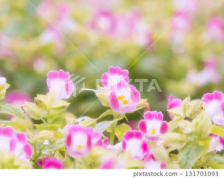 Cute pink flowers Cute pink flowers 131701093