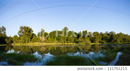 Karura forest landscapes field waterfalls ponds lakes vegetation Kenya East Africa 131701213