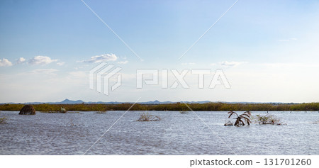 Lake Turkana Lodwar Kalokol Town Landscapes Waterscape Kenya East Africa Lake Turkana Lodwar Kalokol Town Landscapes Waterscape Kenya East Africa 131701260