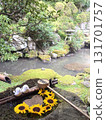 京都府橫國寺的向日葵淨水器 [8月] 131701757