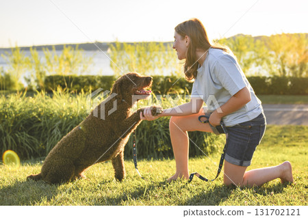 Portrait of one brown portuguese water dog outdoors on grass with little child girl 131702121