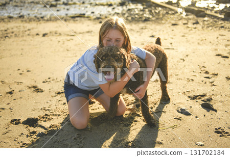 Portrait of one brown portuguese water dog outdoors on the beach with little child girl Portrait of one brown portuguese water dog outdoors on the beach with little child girl 131702184