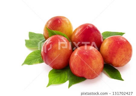 Plums on a white background 131702427