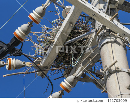 用電線桿上的吊架和樹枝搭建的瞭望台 131703009