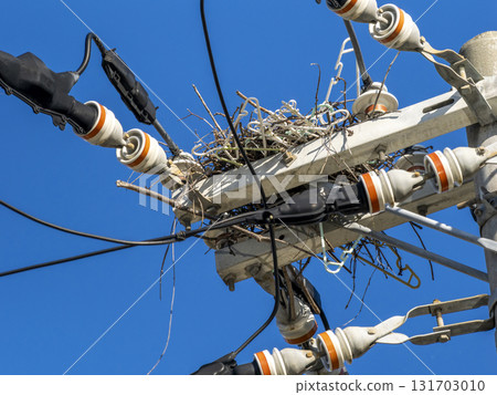 A crow's nest made from hangers and tree branches on a utility pole A crow's nest made from hangers and tree branches on a utility pole 131703010