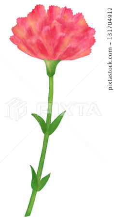 一朵紅色康乃馨的插圖 一朵紅色康乃馨的插圖 131704912