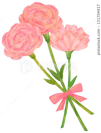 Illustration of three pink carnations with ribbons Illustration of three pink carnations with ribbons 131704917