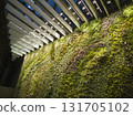 Office biophilic design using commercial wall space with botanical wall plants decor 131705102