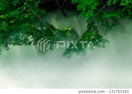 霧中反射的光線 131705303