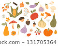 Hand drawn illustration of fresh autumn vegetables and fruits. Thanksgiving nutritious healthy food. Autumn harvest festival. November autumnal color flat spot illustration 131705364