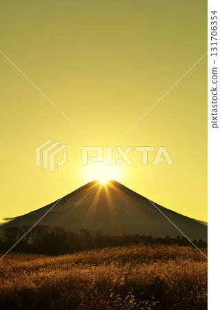 Diamond Fuji 131706354