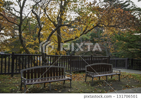 公園長椅上覆蓋著秋葉 公園長椅上覆蓋著秋葉 131706501