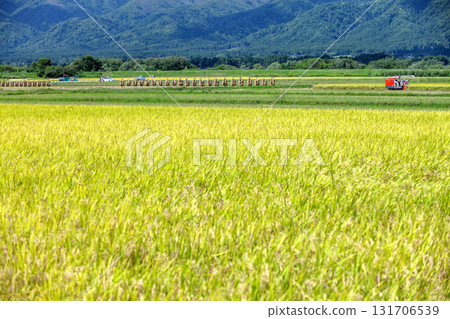 Fruitful autumn 131706539