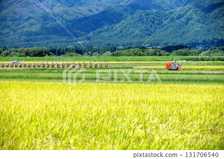 Fruitful autumn Fruitful autumn 131706540