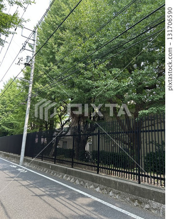東京大學棒球隊棒球場 東京大學棒球隊棒球場 131706590