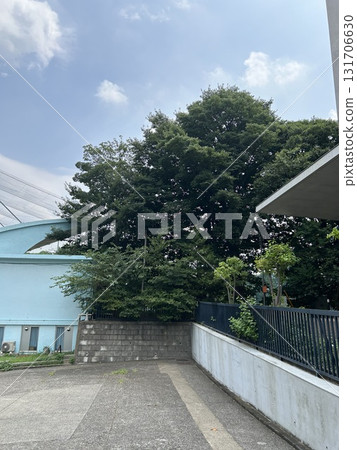 University of Tokyo Baseball Team Baseball Ground University of Tokyo Baseball Team Baseball Ground 131706630