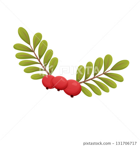 cranberry branch featuring three red berries and green leaves, nature and healthy lifestyle 131706717
