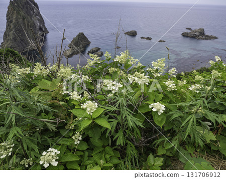 從島武海岸的觀景台眺望大島 131706912
