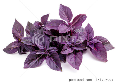 AI-generated item. Bunch of fresh purple basil herb leaves isolated on white background. 131706995