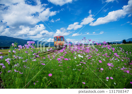 Cosmos and local trains Cosmos and local trains 131708347