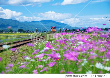 Cosmos and local trains 131708348