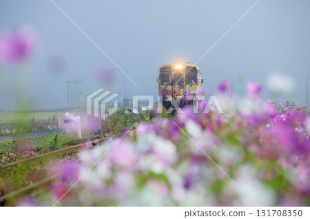 Cosmos and local trains 131708350