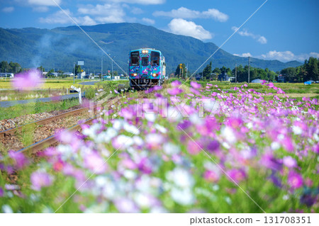 Cosmos and local trains 131708351