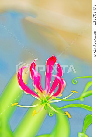 房子周圍種滿了鮮花，四季各異。公園的籬笆上盛開著美麗的紅色百合花瓣。 131708473