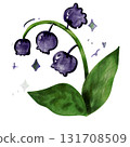 plant, flower, lily 131708509