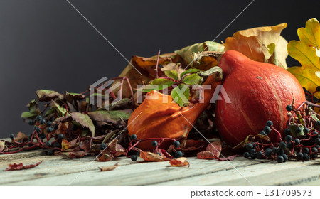 Small pumpkins with dried-up leaves and Maiden grapes. 131709573