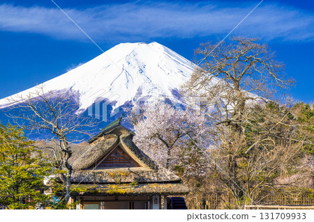 [Yamanashi Prefecture_Oshino Village] Early Spring Oshino Hakkai and Mt. Fuji April 131709933