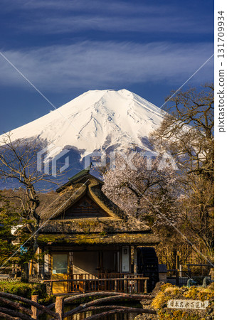 [山梨縣_忍野村] 初春忍野八海和富士山 4月 131709934
