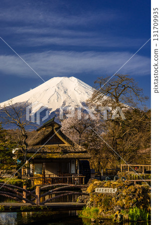 [Yamanashi Prefecture_Oshino Village] Early Spring Oshino Hakkai and Mt. Fuji April 131709935