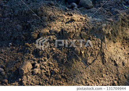 A pile of soil for gardening and construction work A pile of soil for gardening and construction work 131709944