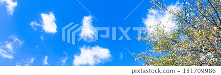 Autumn scenery with blue skies, white clouds, and trees beginning to turn red 131709986