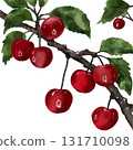 branch_of_real_cherry_so_fresh 131710098